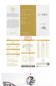 Detail view of GRA certificate for 1.0ct moissanite necklace with unique laser code 9789450