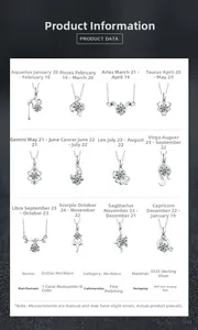 Détail de 12 pendentifs zodiaque en argent S925 avec diamant Moissanite 1 carat couleur D