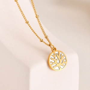 Collier Pendentif Rond Corail en Acier Inoxydable Chaîne à Billes Satellite Plaquée Or pour Femme Bijoux de Mode