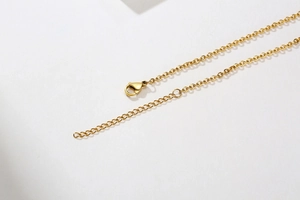 Detailed macro view of the golden lobster clasp and adjustable extender chain on the necklace