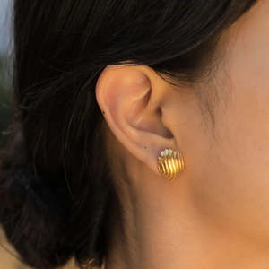 Golden stainless steel shell-textured stud earrings worn on a model's earlobe