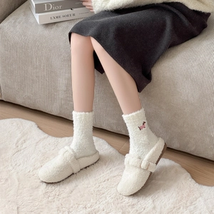 Winter plush indoor slippers and dachshund coral fleece socks on a cozy home rug