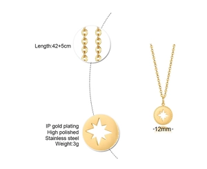 Détails du collier en acier inoxydable avec pendentif étoile et placage en or IP durable