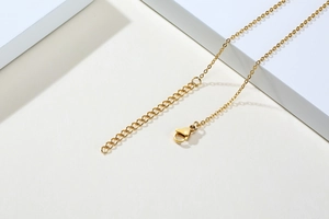 Détail du collier en acier titane doré avec fermoir mousqueton et chaîne d'extension réglable