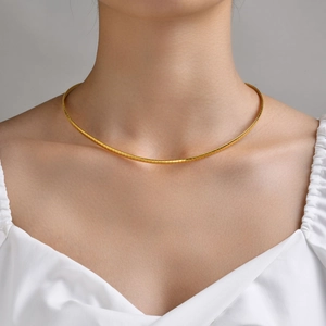 Minimalist Stainless Steel Flat Snake Chain Choker Necklace For Women Gold Plated Geometric Fashion Jewelry Accessary