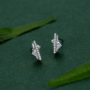 Sparkling S925 sterling silver square stud earrings with zircons on green leaf background