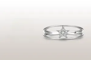 Macro de la bague double couche en argent S925 avec un détail d'étoile pavée scintillante