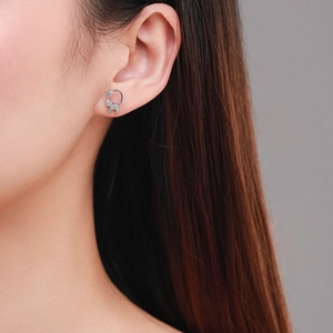 Elegant s925 silver cat and star stud earrings with sparkling cubic zirconia stones