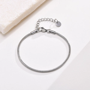 Macro detail of silver stainless steel snake chain with adjustable lobster clasp and tag