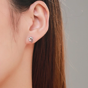 Élégantes boucles d'oreilles dauphin en argent S925 serties de zircons brillants