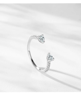 Detailansicht der doppelten herzförmigen Steine und Pavé-Diamanten auf dem Silberring