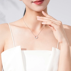 Collier circulaire élégant en argent S925 orné de zircons brillants pour femmes