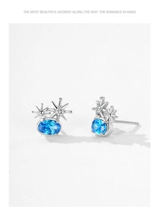 Detailed macro view of 925 silver stud earrings with oval blue stone and star accents