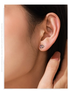 Gros plan d'une boucle d'oreille dauphin en argent 925 avec zircon violet sur modèle
