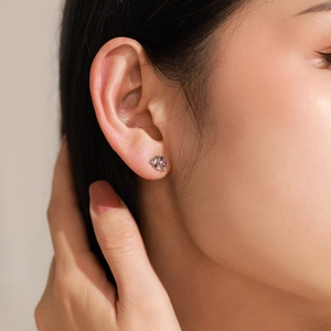 Boucles d'oreilles dauphin élégantes en argent 925 avec zircon violet sur un mannequin