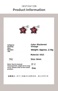 Détail macro de la boucle d'oreille étoile en argent S925 avec pierre rouge