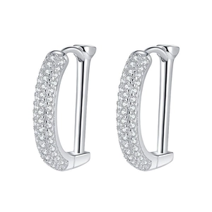 Orecchini a cerchio a forma di D in argento sterling S925 con cristalli di zirconia lucidi