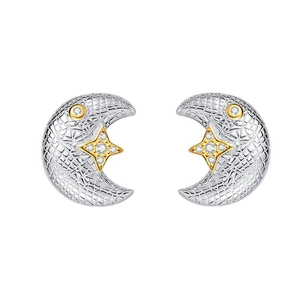 S925 sterling silver moon and star stud earrings with gold-toned mesh texture