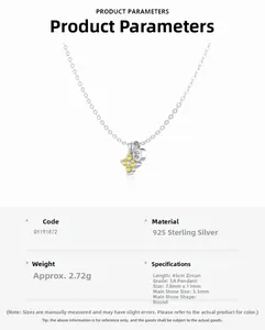 Detail view of S925 silver necklace with 45cm chain length and pendant dimensions