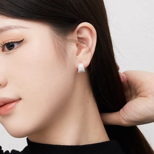 Elegant S925 sterling silver hoop earrings with full micro-pave cubic zirconia stones