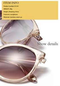 Detail view of round vintage sunglasses 81341 with PC frame and stainless steel hinges