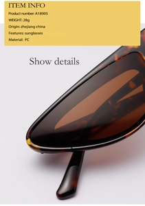 Detail view of tortoiseshell PC frame and brown lenses for irregular cool sunglasses