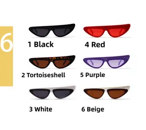 Collection of six colors of irregular small frame cat eye sunglasses for men