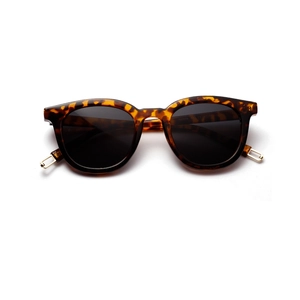 Lunettes de soleil écaille classiques avec verres foncés et accents dorés en métal