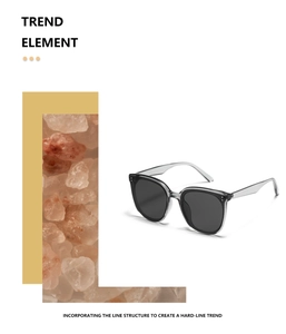 Detail of grey transparent oversized sunglasses frame with silver accents on temple