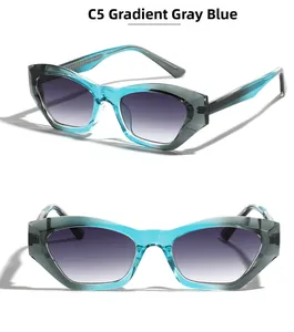 Dettaglio occhiali da sole TR90 cat-eye in grigio blu sfumato con codice colore C5