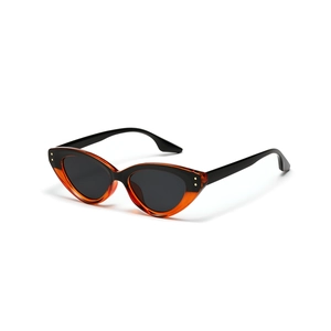 Retro cat-eye sunglasses with dual-tone frame and gold rivet accents for men and women