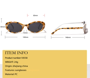 Dimensions détaillées des lunettes de soleil ovales à motif tournesol et monture PC