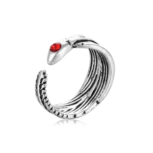 Macro detail of retro snake feather ring with red gemstone in antique silver finish
