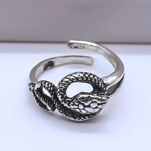 Macro detail of vintage snake ring showing intricate scales and silver texture