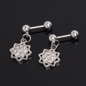 Stainless Steel Flower Rhinestone Stud Earrings For Women Men Punk Star Piercing Jewelry With Screw Ball Back Silver Tone Jewelry