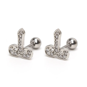 Pair of stainless steel zodiac stud earrings with micro zircon stones and screw back balls