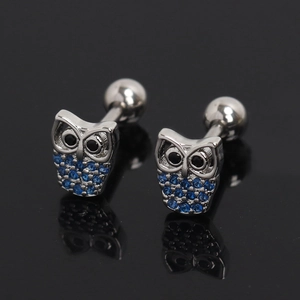 Détail des boucles d'oreilles hibou en acier inoxydable avec cristaux bleus et fermoirs