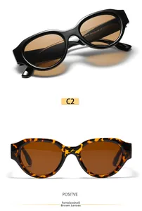Detail view of retro oval sunglasses showing frame texture and specifications on temples