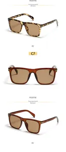 Detailed close-up of tortoise shell and transparent tea frames with golden temple accents