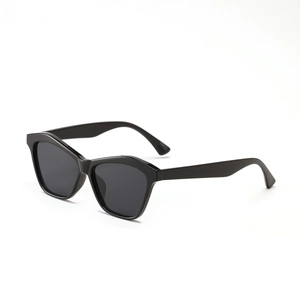 Chic black irregular geometric frame sunglasses with dark lenses for men and women