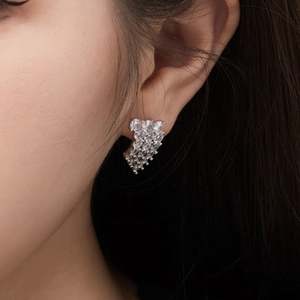 Nahaufnahme von S925 Sterling Silber Flügel-Ohrringen mit funkelnden Zirkonia-Steinen