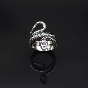 Macro shot of a silver serpent ring featuring intricate scales and a spiral design