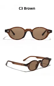Detail view of tea brown vintage oval sunglasses with model specifications on the temple