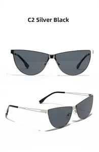 Detail of silver cat-eye sunglasses with hollow metal temples and dark gray lenses