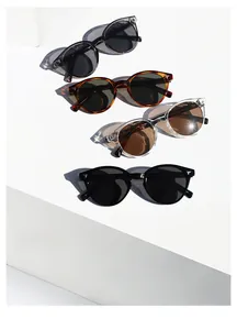 Lunettes de soleil rétro TR90 en gris transparent, écaille de tortue, thé et noir