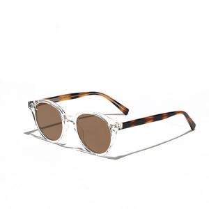Lunettes de soleil rondes rétro TR90 avec monture transparente et branches écaillées