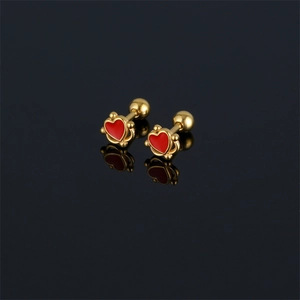 Boucles d'Oreilles Clous Cœur en Acier Inoxydable 316 pour Femmes Doux Émail Rouge Noir Piercing Cartilage Bijoux Minimalistes