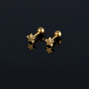 Minimalist 316 Stainless Steel Star Stud Earrings Ball Back Screw On Small Five Pointed Star Piercing Jewelry Unisex Fashion Accessory