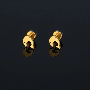 Boucles d'Oreilles Puces en Acier Inoxydable en Forme de Dauphin pour Femmes Hommes Petites Boucles d'Oreilles Minimalistes Bijoux