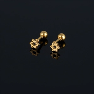 Stainless Steel Hexagram Star Of David Screw Back Stud Earrings For Men Women Cartilage Piercing Jewelry Gold Black Silver